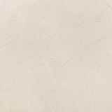 KRAVET COUTURE 4463.1.0 RAMUS IVORY Fabric