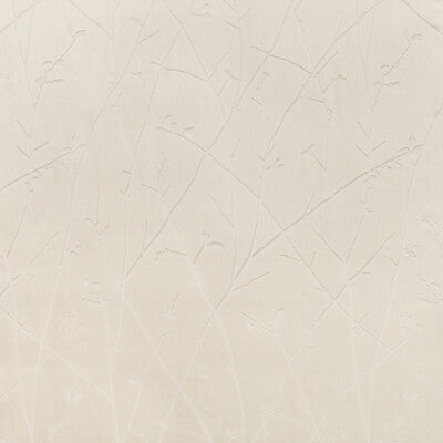 KRAVET COUTURE 4463.1.0 RAMUS IVORY Fabric