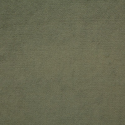 Pindler AMORI FERN 4476 Fabric - Fabric Collection