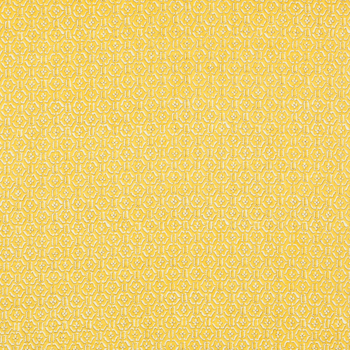 Schumacher 452V85 REMY in LOQUAT Fabric - RAOUL TEXTILES