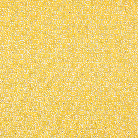 Schumacher 452V85 REMY in LOQUAT Fabric - RAOUL TEXTILES