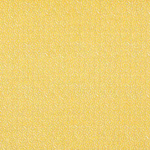 Schumacher 452V85 REMY in LOQUAT Fabric - RAOUL TEXTILES