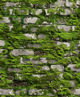 Eade's 45755-sample Beige