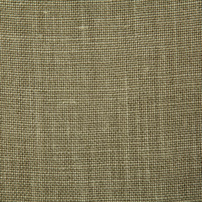 Pindler FABIENNE OLIVE 4580 Fabric - Fabric Collection