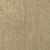 KRAVET DESIGN 4618.16.0 SETE CANYON Fabric