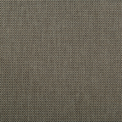 KRAVET CONTRACT 4645.1621.0 KRAVET CONTRACT 4645-1621 Fabric