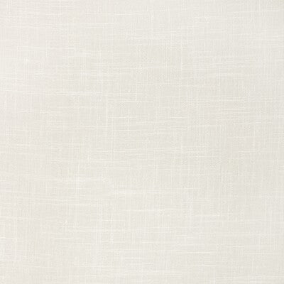 KRAVET BASICS KRAVET BASICS 4664.101.0 in 4664-101 Fabric - 