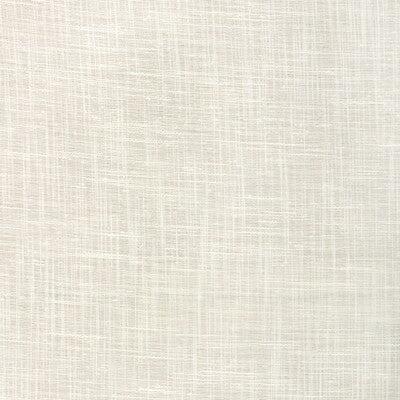 KRAVET BASICS KRAVET BASICS 4664.111.0 in 4664-111 Fabric - 