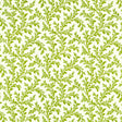 Schumacher 472V60 VERA in LAWN Fabric - RAOUL TEXTILES