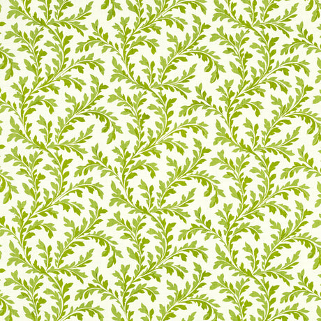 Schumacher 472V60 VERA in LAWN Fabric - RAOUL TEXTILES