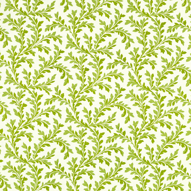 Schumacher 472V60 VERA in LAWN Fabric - RAOUL TEXTILES