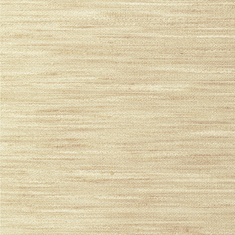 KRAVET BASICS 4854.1116.0 KRAVET BASICS 4854-1116 Fabric - Eade's Wallpaper
