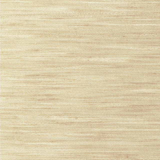 KRAVET BASICS 4854.1116.0 KRAVET BASICS 4854-1116 Fabric - Eade's Wallpaper