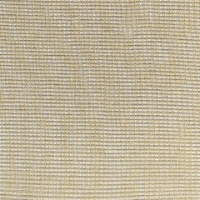 KRAVET BASICS 4876.16.0 KRAVET BASICS 4876-16 Fabric - Eade's Wallpaper