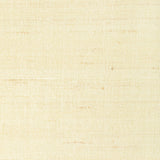 KRAVET COUTURE 4898.1.0 LIGHT TOUCH CHAMPAGNE Fabric - Eade's Wallpaper