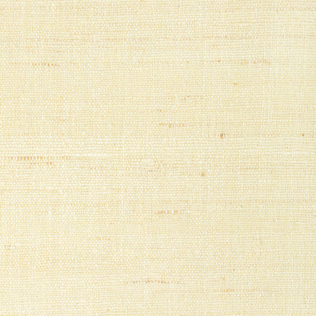 KRAVET COUTURE 4898.1.0 LIGHT TOUCH CHAMPAGNE Fabric - Eade's Wallpaper