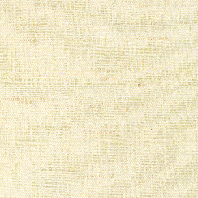 KRAVET COUTURE 4898.1.0 LIGHT TOUCH CHAMPAGNE Fabric - Eade's Wallpaper