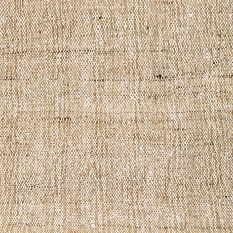 KRAVET COUTURE 4898.16.0 LIGHT TOUCH CARAMEL Fabric - Eade's Wallpaper