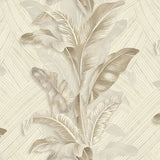 Galerie 49300 Cream Palma - Eade's Wallpaper