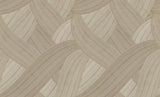 Eade's IT49334-sample Beige