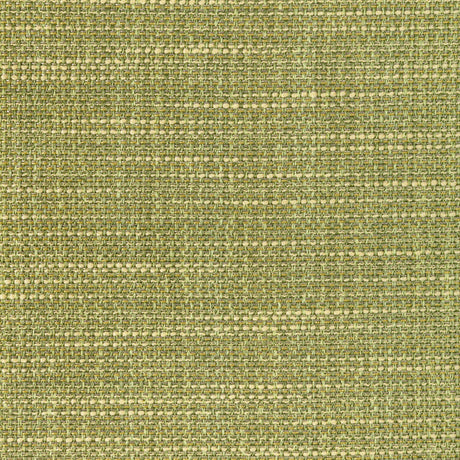 KRAVET CONTRACT 4947.314.0 LUMA TEXTURE CACTUS Fabric - Eade's Wallpaper