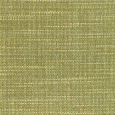KRAVET CONTRACT 4947.314.0 LUMA TEXTURE CACTUS Fabric - Eade's Wallpaper
