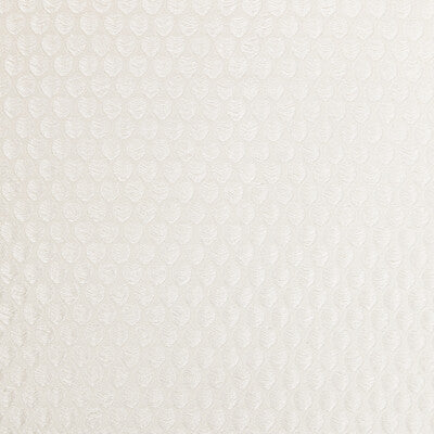 KRAVET COUTURE 4950.1116.0 PERFECT CATCH PEARL Fabric - Eade's Wallpaper
