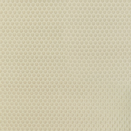 KRAVET COUTURE 4950.416.0 PERFECT CATCH GOLD Fabric - Eade's Wallpaper