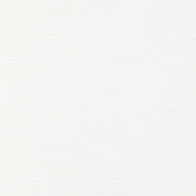 KRAVET COUTURE 4957.1116.0 CULTIVATE PEARL Fabric - Eade's Wallpaper
