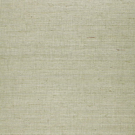 Schumacher Suwon Sisal Aqua Wallpaper - Eade's Wallpaper