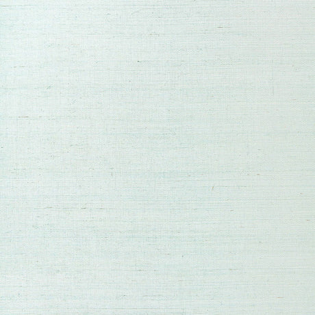 Schumacher Suwon Sisal Silver Surf Wallpaper - Eade's Wallpaper