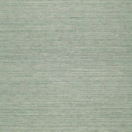 Schumacher Onna Sisal Aqua Wallpaper - Eade's Wallpaper