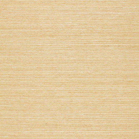 Schumacher Onna Sisal Beige Wallpaper - Eade's Wallpaper