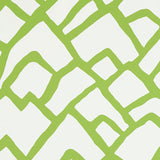 Schumacher Zimba Lawn Wallpaper