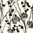 Schumacher Moonpennies Black & Ivory Wallpaper - Eade's Wallpaper