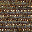 Schumacher Montauk Topaz Wallpaper - Eade's Wallpaper