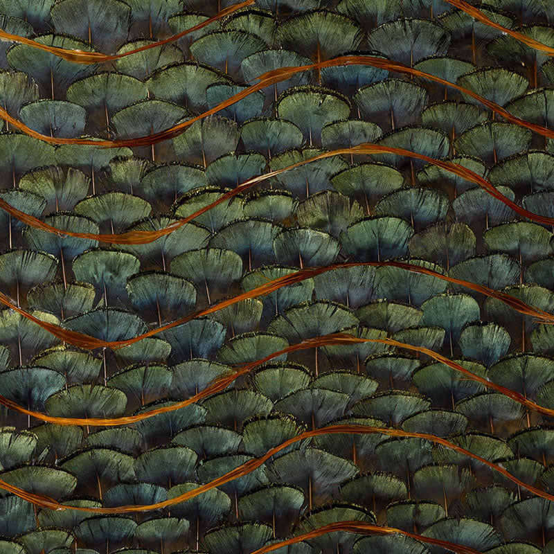Schumacher Emerald Bay Peacock Wallpaper