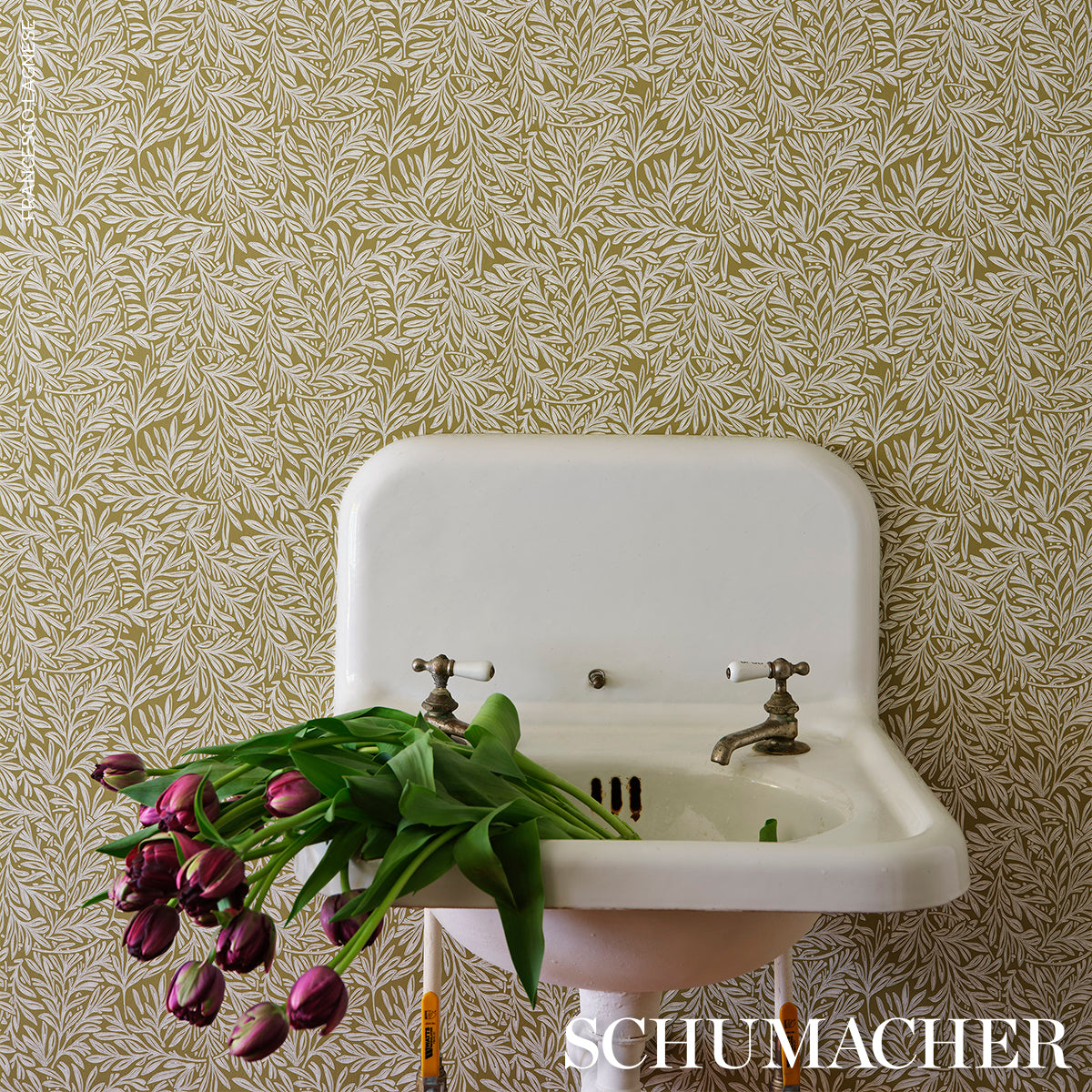 Schumacher Willow Leaf Moss Wallpaper