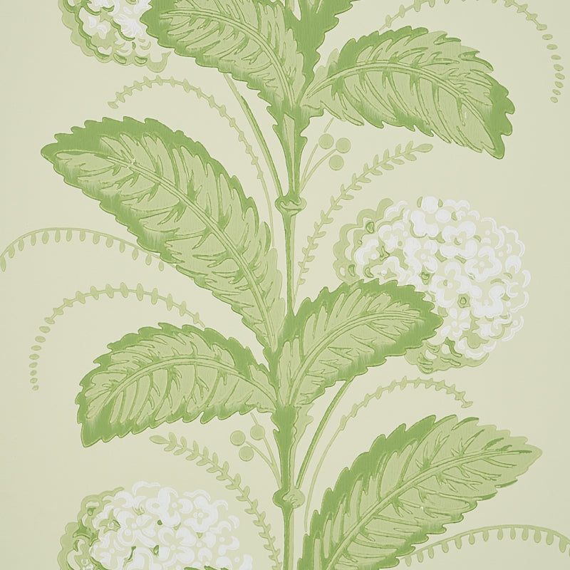 Schumacher Hydrangea Drape Green Wallpaper