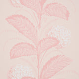 Eade’s BLUSH
