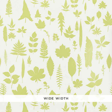 Schumacher Leaves Chartreuse Wallpaper - Eade's Wallpaper