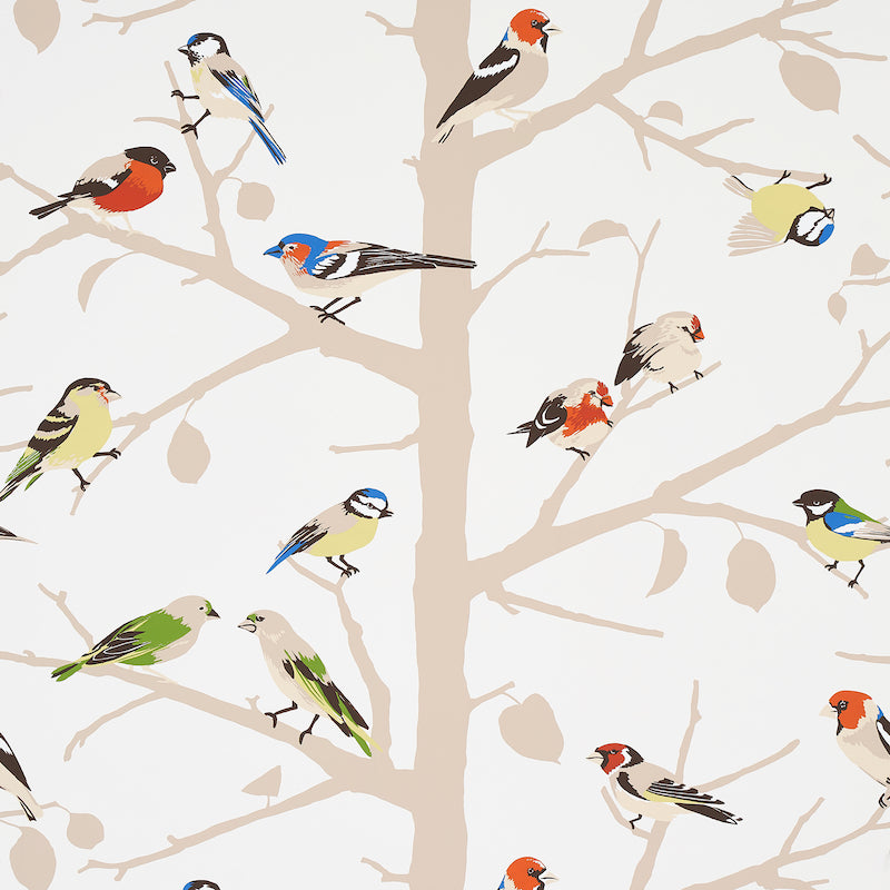 Schumacher A-Twitter Summer Wallpaper