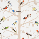 Schumacher A-Twitter Summer Wallpaper