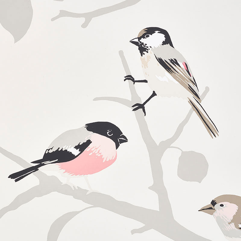 Schumacher A-Twitter Blush Wallpaper