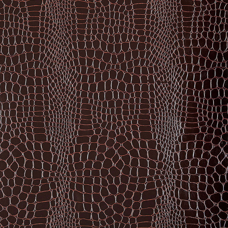 Schumacher Crocodile Java Wallpaper