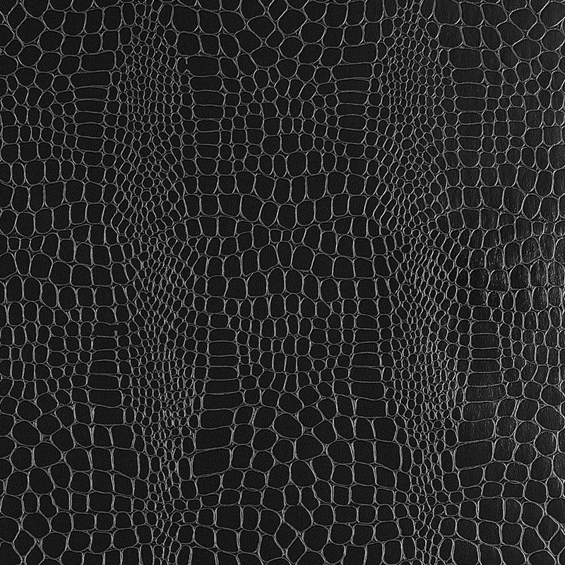 Schumacher Crocodile Jet Wallpaper