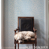 Schumacher Iconic Leopard Sky Wallpaper