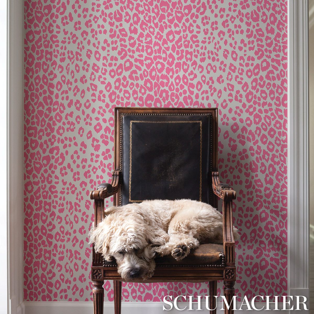 Schumacher 5007016 Iconic Leopard Pink Wallpaper - Eade's – Eades