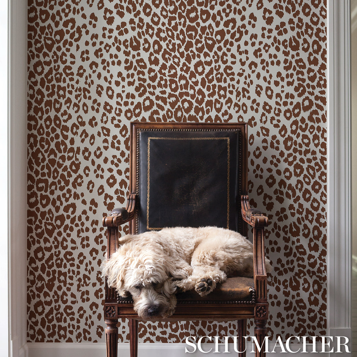 Schumacher Iconic Leopard Brown Wallpaper