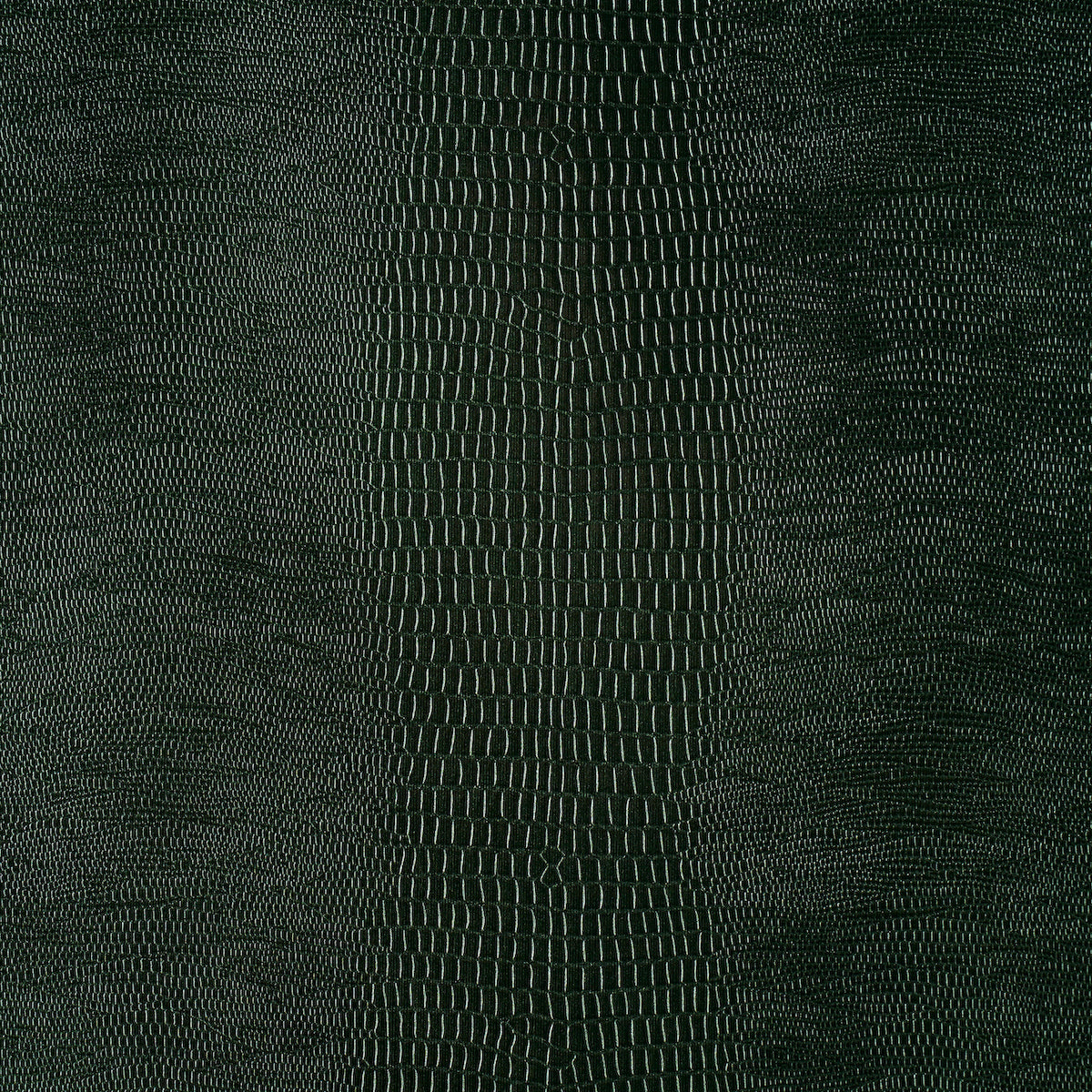 Schumacher 5007342 KOMODO in FOREST GREEN Wallpaper - FABULO